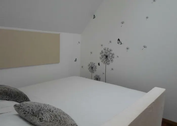 Les Colombes De La Baie Du Mont Saint-michel